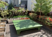 [데이,요양] 옥상 햇빛 정원 정비