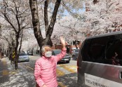 [데이]봄맞이 꽃길 드라이브