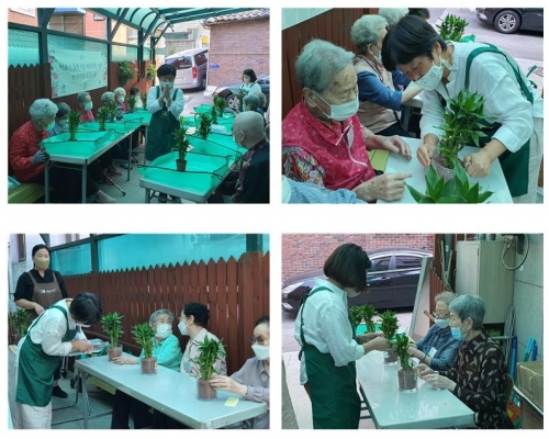 [데이]원예치유 2회기 '수경재배 연화죽'