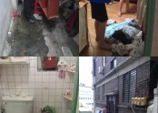 애니카자동차손해사정서비스(주) 대청소 봉사활동