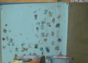 2011.6.29(수) 태평양제약 봉사활동