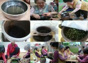 콩나물 기르기(주야간보호, 요양시설)